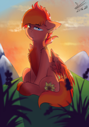 Size: 1200x1700 | Tagged: safe, artist:yuris, oc, oc only, pegasus, pony, solo, sunset
