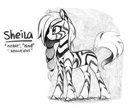 Size: 963x807 | Tagged: safe, artist:aureai, oc, oc only, oc:sheila (zebra), pony, zebra, black and white, ear fluff, female, grass, grayscale, happy, hooves, mare, monochrome, simple background, sketch, solo, standing, white background