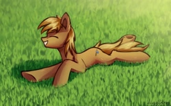 Size: 1024x638 | Tagged: safe, artist:adagiostring, oc, oc only, oc:bill-the-pony, earth pony, pony, commission, commissioner:lahirien, grass, male, rolling in the grass, smiling, solo, stallion