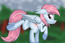 Size: 700x466 | Tagged: safe, artist:darky_wings, oc, oc only, oc:evening skies, oc:starburn, pegasus, pony, :p, butt, commission, featureless crotch, giant pony, macro, macro/micro, micro, plot, size difference, tail wrap, tongue out, ych result