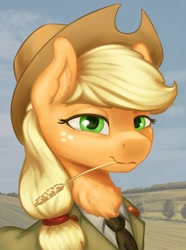 Size: 1024x1379 | Tagged: safe, alternate version, artist:kelkessel, applejack, earth pony, pony, equestria at war mod, g4, bust, clothes, detailed background, female, green eyes, hat, military uniform, portrait, smiling, solo, straw in mouth, uniform