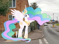 Size: 1024x768 | Tagged: safe, artist:savannah-london, artist:sonofaskywalker, princess celestia, alicorn, human, pony, g4, bicycle, britain, car, crown, cute, cutelestia, deviantart watermark, england, excited, female, hoof shoes, irl, irl human, jewelry, mare, necklace, obtrusive watermark, photo, ponies in real life, regalia, smiling, united kingdom, vauxhall, watermark