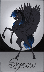 Size: 1190x1955 | Tagged: safe, artist:dementra369, oc, oc only, pony, hoers, male, rearing, solo, spread wings, stallion, wings