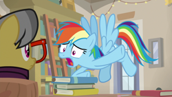 Size: 1920x1080 | Tagged: safe, screencap, a.k. yearling, rainbow dash, daring doubt, g4