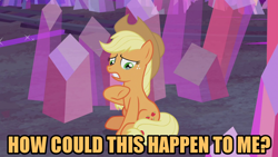 Size: 1280x720 | Tagged: safe, edit, edited screencap, screencap, applejack, earth pony, pony, g4, hearthbreakers, caption, cowboy hat, female, freckles, hat, how could this happen to me, image macro, mare, meme, raised hoof, reference, simple plan, solo, song reference, stetson, teary eyes, text, untitled (song)