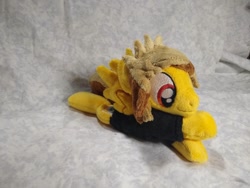 Size: 1032x774 | Tagged: safe, artist:bluedragonflyplush, pegasus, pony, alex gaskarth, all time low, beanie (plushie), clothes, commission, ear fluff, irl, male, photo, plushie, ponified, prone, shirt, solo, spread wings, stallion, t-shirt, wings
