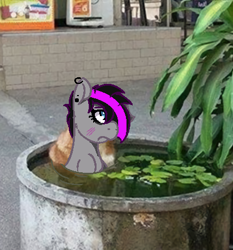 Size: 420x450 | Tagged: safe, artist:lazerblues, edit, oc, oc:damage case, earth pony, pony, irl, photo, ponies in real life