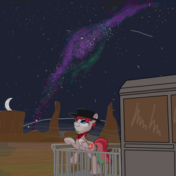 Size: 3000x3000 | Tagged: safe, artist:filly cheesesteak, oc, oc only, oc:coffea flower, cowboy, desert, high res, scenery, solo, stars, train, wild west