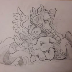 Size: 1080x1080 | Tagged: safe, artist:c_owokie, fluttershy, rainbow dash, pegasus, pony, g4, duo, eyes closed, female, fluffy, lesbian, lineart, mare, monochrome, prone, ship:flutterdash, shipping, snuggling, traditional art