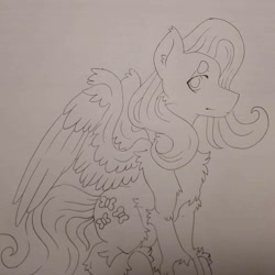 Size: 1080x1080 | Tagged: safe, artist:c_owokie, fluttershy, pegasus, pony, g4, chest fluff, female, fluffy, lineart, mare, smiling, solo, traditional art, unshorn fetlocks