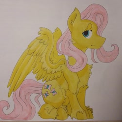 Size: 1080x1080 | Tagged: safe, alternate version, artist:c_owokie, fluttershy, pegasus, pony, g4, chest fluff, colored, female, fluffy, mare, smiling, solo, traditional art, unshorn fetlocks