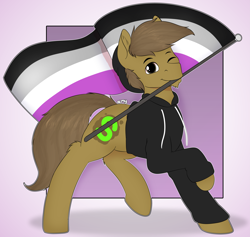 Size: 7481x7086 | Tagged: safe, artist:suchalmy, oc, oc only, oc:almond evergrow, earth pony, pony, asexual pride flag, asexuality, beanie, clothes, flag, hat, hoodie, male, pose, pride, pride flag, pride month, proud, stallion