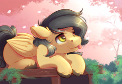 Size: 4000x2750 | Tagged: safe, alternate version, artist:ardail, oc, oc only, oc:crisom chin, pegasus, pony, g4, :p, cherry blossoms, cute, flower, flower blossom, prone, raffle prize, solo, tongue out, unshorn fetlocks, wings