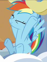 Size: 492x649 | Tagged: safe, screencap, rainbow dash, pegasus, pony, g4, grannies gone wild, cropped, cute, dashabetes, excited, eyes closed, female, mare, raised hooves, roller coaster, smiling, solo