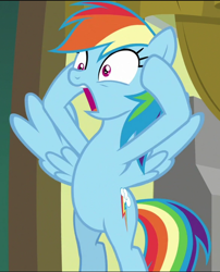 Size: 584x723 | Tagged: safe, screencap, rainbow dash, pegasus, pony, g4, grannies gone wild, bipedal, cropped, female, mare, open mouth, shocked, shrunken pupils, solo, spread wings, wings