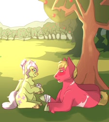 Size: 1024x1138 | Tagged: safe, artist:notsoanonymousartist, big macintosh, fluttershy, earth pony, pegasus, pony, g4, alternate hairstyle, apple, apple tree, bandage, beard, blushing, facial hair, female, hair bun, looking at each other, lying down, male, mare, missing accessory, scar, ship:fluttermac, shipping, sitting, stallion, story included, straight, sweet apple acres, tree, unshorn fetlocks