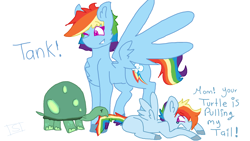 Size: 2560x1440 | Tagged: safe, artist:shinningblossom12, rainbow dash, tank, oc, oc:rainbow sky, pegasus, pony, tortoise, g4, chest fluff, colored hooves, dialogue, female, mare, mouth hold, not rainbow dash, offspring, one eye closed, parent:rainbow blitz, parent:rainbow dash, parents:dashblitz, pegasus oc, product of selfcest, scared, simple background, tail, tail pull, white background, wings, wink