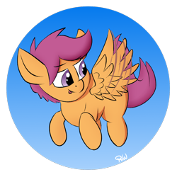 Size: 1800x1800 | Tagged: safe, artist:ponyxwright, scootaloo, pegasus, pony, g4, atg 2020, cute, cutealoo, female, filly, flying, newbie artist training grounds, scootaloo can fly, solo