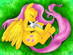 Size: 512x387 | Tagged: safe, artist:0pika-chan0, fluttershy, pegasus, pony, rabbit, g4, animal, curled up, duo, eyes closed, female, grass, high angle, lying down, mare, on side, sleeping, wings