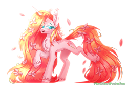 Size: 3500x2400 | Tagged: safe, artist:redheartponiesfan, oc, oc only, oc:sakura, pony, unicorn, female, high res, mare, simple background, solo, transparent background