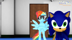 Size: 1280x720 | Tagged: safe, artist:elton's stuff, rainbow dash, g4, male, meme template, sonic the hedgehog, sonic the hedgehog (series), sunglasses, wide eyes