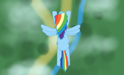 Size: 1976x1202 | Tagged: safe, artist:dzamie, rainbow dash, pegasus, pony, g4, colored, digital art, female, flying, high angle, mare, solo