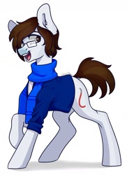 Size: 1024x1403 | Tagged: safe, artist:chibadeer, oc, oc only, earth pony, pony, clothes, glasses, solo