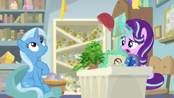 Size: 1920x1080 | Tagged: safe, screencap, phyllis, starlight glimmer, trixie, pony, unicorn, a horse shoe-in, g4, duo, female, magic, magic aura, mare, philodendron, plant, potted plant, starlight's office, telekinesis