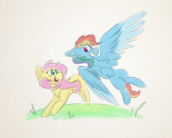 Size: 2500x2000 | Tagged: safe, artist:antimationyt, fluttershy, rainbow dash, pegasus, pony, g4, chest fluff, duo, ear fluff, female, flying, folded wings, grin, high res, looking at each other, mare, open mouth, outdoors, partial background, running, smiling, spread wings, wings