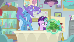Size: 1920x1080 | Tagged: safe, screencap, phyllis, starlight glimmer, trixie, pony, unicorn, a horse shoe-in, g4, cape, clothes, desk, eyes closed, female, hat, magic, magic aura, mare, philodendron, plant, potted plant, telekinesis, trixie's cape, trixie's hat