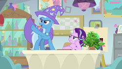 Size: 1920x1080 | Tagged: safe, screencap, phyllis, starlight glimmer, trixie, pony, unicorn, a horse shoe-in, g4, annoyed, cape, clothes, desk, female, hat, mare, philodendron, plant, potted plant, trixie's cape, trixie's hat