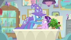 Size: 1920x1080 | Tagged: safe, screencap, phyllis, starlight glimmer, trixie, pony, unicorn, a horse shoe-in, g4, boop, cape, clothes, desk, duo, female, hat, mare, philodendron, plant, potted plant, trixie's cape, trixie's hat