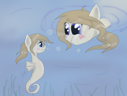 Size: 2048x1536 | Tagged: safe, artist:askponybrandenburg, pegasus, pony, sea pony, blushing, brandenburg, duality, duo, female, hetalia, looking at each other, mare, ponified, puffy cheeks, seaponified, self ponidox, species swap, underwater