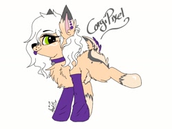 Size: 1600x1200 | Tagged: safe, artist:_wulfie, oc, oc only, dog, dog pony, :p, chest fluff, clothes, collar, ear fluff, ear piercing, horn, piercing, signature, simple background, socks, solo, tongue out, white background