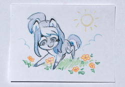 Size: 1200x836 | Tagged: safe, artist:dawnfire, oc, oc only, earth pony, pony, commission, flower, solo, sun, traditional art