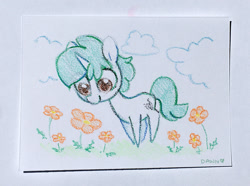 Size: 1200x893 | Tagged: safe, artist:dawnfire, oc, oc only, pony, unicorn, cloud, commission, flower, solo, traditional art