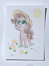 Size: 1200x1618 | Tagged: safe, artist:dawnfire, oc, oc only, oc:nutty special, earth pony, pony, commission, flower, solo, sun, traditional art
