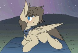 Size: 1050x720 | Tagged: safe, artist:kirbirb, oc, oc only, oc:snaggletooth, pegasus, pony, animated, blinking, frame by frame, freckles, night, night sky, sky, solo, stargazing, tail wag