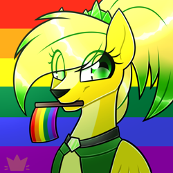 Size: 1770x1770 | Tagged: safe, artist:little_gummy_bear_47, oc, oc only, oc:mia mesa, pony, clothes, coat, collar, female, gem, happy, pride, pride flag, solo