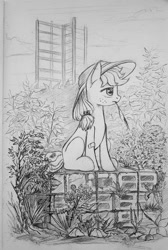 Size: 800x1194 | Tagged: safe, artist:maytee, applejack, earth pony, pony, g4, bandaid, blank flank, female, filly, grayscale, hat, monochrome, pencil drawing, solo, straw, straw in mouth, traditional art, younger