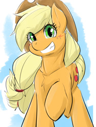 Size: 1500x2000 | Tagged: safe, artist:yakinikuinu, applejack, earth pony, pony, g4, blushing, chest fluff, cute, ear fluff, female, jackabetes, looking at you, mare, smiling, solo