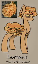 Size: 1256x2076 | Tagged: safe, artist:czu, part of a set, oc, oc only, mushroom pony, original species, laetiporus, mushroom