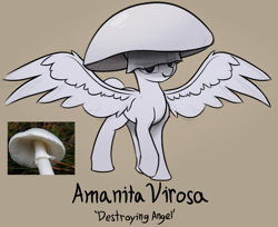 Size: 1986x1617 | Tagged: safe, artist:czu, part of a set, oc, oc only, mushroom pony, original species, pegasus, pony, mushroom