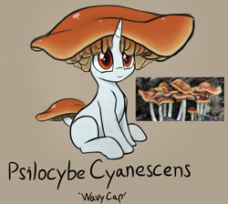 Size: 1731x1551 | Tagged: safe, artist:czu, part of a set, oc, oc only, mushroom pony, original species, pony, unicorn, mushroom, psilocybe cyanescens, solo