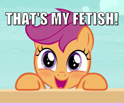 Size: 753x648 | Tagged: safe, edit, edited screencap, screencap, scootaloo, pony, g4, marks for effort, blushing, caption, cropped, female, filly, image macro, solo, text, that is my fetish