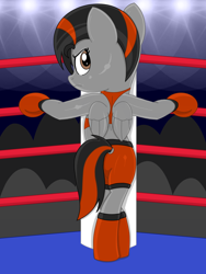 Size: 1200x1600 | Tagged: safe, artist:toyminator900, oc, oc only, oc:dusk strike, pegasus, pony, bipedal, boxing, boxing gloves, boxing ring, clothes, crowd, looking at you, sports, sports bra