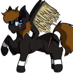 Size: 800x800 | Tagged: safe, artist:cocoa_moood__, oc, oc only, pegasus, pony, chest fluff, eye scar, pegasus oc, raised hoof, scar, simple background, smiling, solo, white background, wings