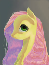 Size: 600x800 | Tagged: safe, artist:lloline, fluttershy, pegasus, pony, g4, bust, female, looking at you, mare, portrait, profile, solo