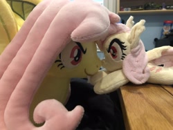 Size: 4032x3024 | Tagged: safe, fluttershy, bat pony, pony, g4, bat ponified, boop, duality, female, flutterbat, irl, noseboop, photo, plushie, race swap, self ponidox, size difference