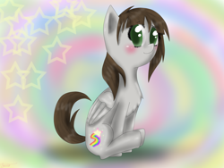 Size: 2048x1536 | Tagged: safe, artist:askponybrandenburg, oc, oc only, pegasus, pony, abstract background, blushing, chest fluff, female, mare, pegasus oc, sitting, solo, wings
